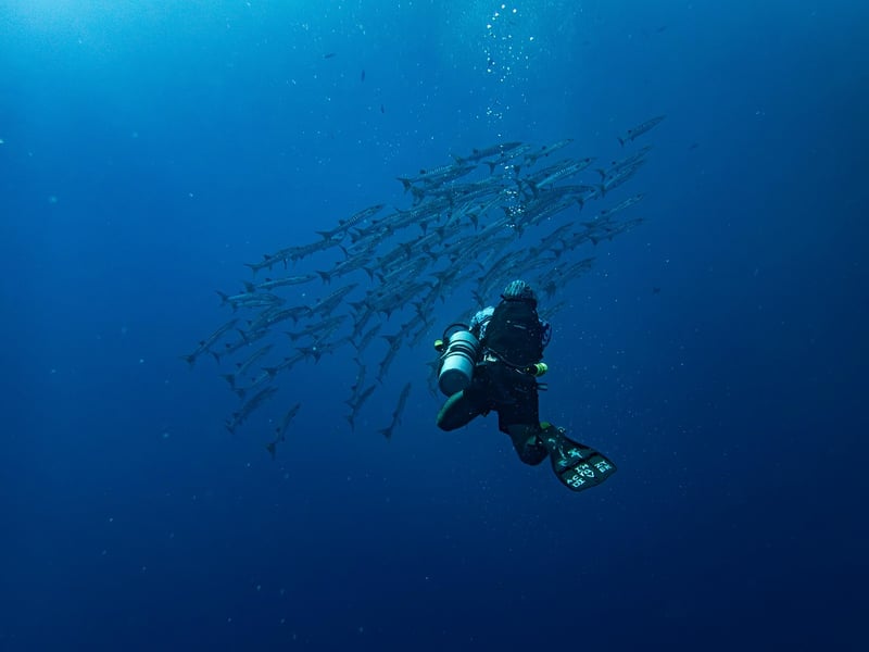 Scuba diving in crystal clear waters
